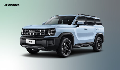 masshtabnoe-obnovlenie-can-protokolov-pandora-4