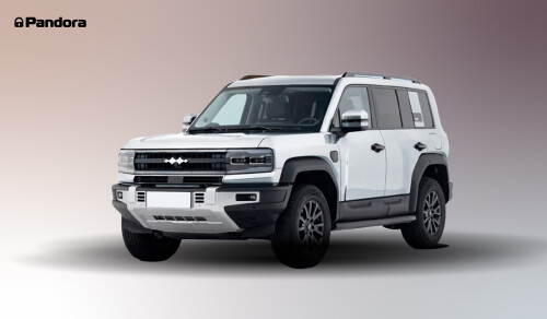 masshtabnoe-obnovlenie-can-protokolov-pandora-5