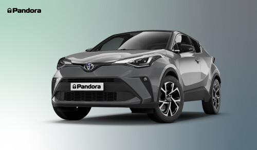 masshtabnoe-obnovlenie-can-protokolov-pandora-6