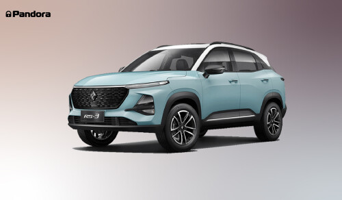 masshtabnoe-obnovlenie-can-protokolov-pandora-7