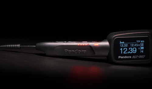 pandora-alt-307-obnovlennaja-redakcija-6