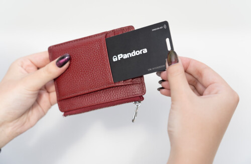 novinka-karta-metka-pandora-card-1