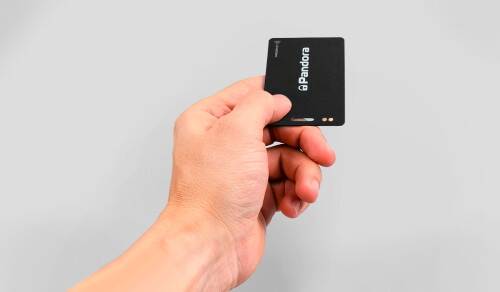pandora-dx-91-lora-3fd-uzhe-v-prodazhe-3